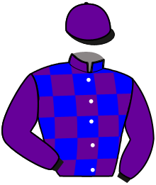 Casaque du n°1 — JANOT DE TOUCHYVON