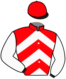 Casaque du n°14 — HOUSTON PEJI