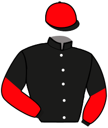 Casaque du n°4 — HAMBRIN D'ARANAU