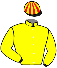 Casaque du n°12 — NECTAR DU PERCHE