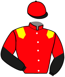 Casaque du n°11 — JASPER DU BELLAY
