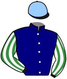 Casaque du n°13 — JAVANAISE DE FARS