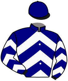 Casaque du n°14 — JAVA DE ROUAISSE