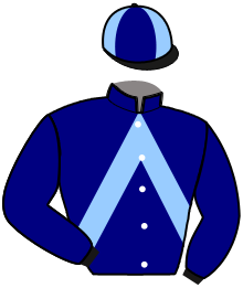 Casaque du n°12 — LADY DU CORTA