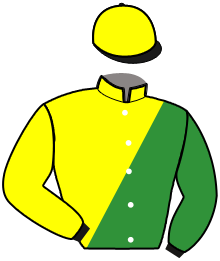 Casaque du n°13 — LISKI DE LA CRIERE