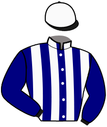 Casaque du n°7 — KANDERO BELLO