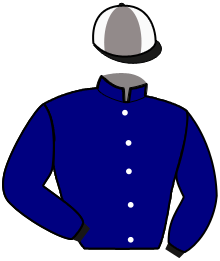 Casaque du n°12 — HEAD OF STATE
