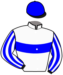 Casaque du n°3 — JAGUAR DU LONDEL