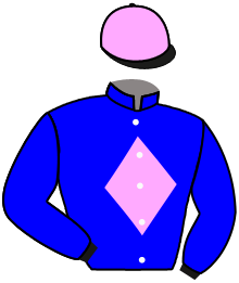 Casaque du n°6 — RUSAIR FAL