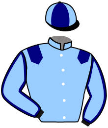Casaque du n°10 — MALTOCK D'ORGERES