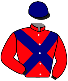Casaque du n°3 — ALMIRO