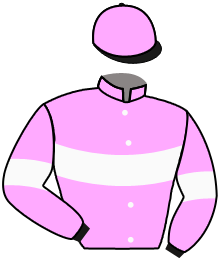 Casaque du n°2 — REVERSO