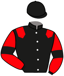 Casaque du n°3 — QUARTZ DU HOULEY