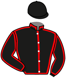 Casaque du n°7 — MALTESE CROSS