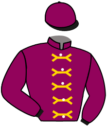 Casaque du n°4 — PARACHUTISTE