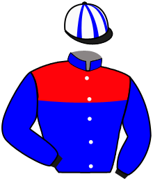 Casaque du n°2 — BUCEPHALOS MISI