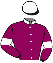 Casaque du n°5 — PAMIRA