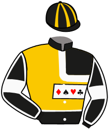 Casaque du n°2 — DELAWARE WISE AS