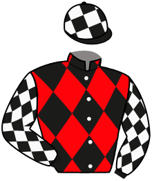 Casaque du n°13 — NARSEO