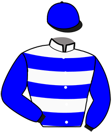 Casaque du n°15 — NUMBER ONE BOND