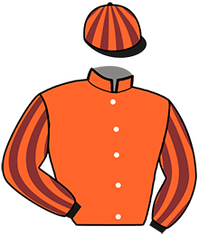 Casaque du n°8 — MARQUISE D'YVEL