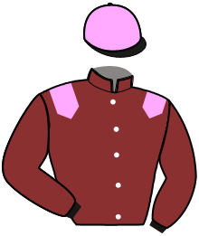 Casaque du n°6 — LATINO TURGOT