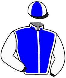 Casaque du n°3 — NAEROBI SIBEY