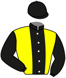 Casaque du n°2 — CLOTH OF MAI