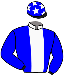 Casaque du n°8 — TAJMALY