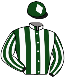 Casaque du n°3 — DIVILSKIN