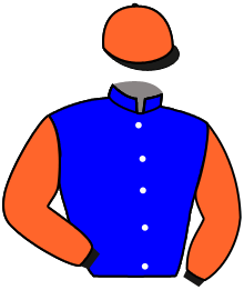 Casaque du n°1 — HARRY