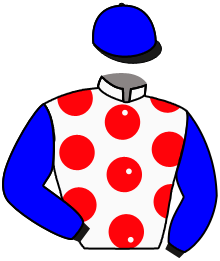 Casaque du n°3 — JILAIJONE