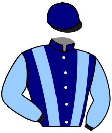 Casaque du n°11 — JUMBALAYA