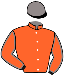 Casaque du n°5 — NIKKALUOKTA