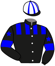 Casaque du n°3 — MUD HILL