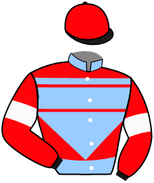 Casaque du n°2 — MAGO VOLANTE