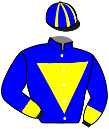 Casaque du n°3 — JUSTIFY FACE