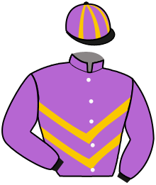 Casaque du n°6 — IVANHOE JAAM