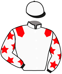 Casaque du n°1 — RUNNER LOBELL