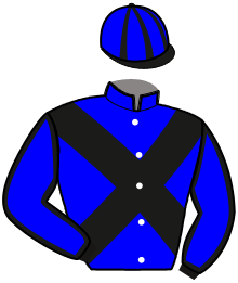 Casaque du n°11 — IL BARONE T.P.