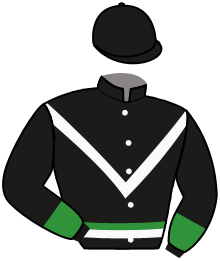 Casaque du n°12 — TOMOE GOZEN
