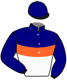 Casaque du n°4 — CRISTALLO