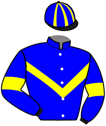Casaque du n°6 — ELEVATION