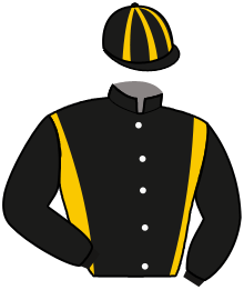 Casaque du n°7 — JOYFUL ARGOS