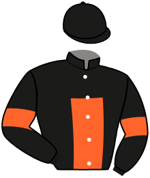 Casaque du n°8 — BEAVER CREEK