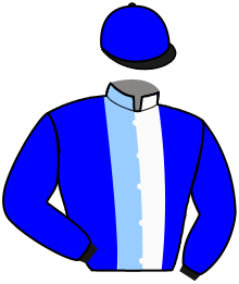 Casaque du n°3 — MACHO CABRIO B.B.