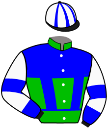 Casaque du n°3 — CLEMENTIN