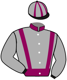 Casaque du n°9 — ROKKA TIGER M.G.