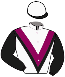 Casaque du n°3 — LANGLI