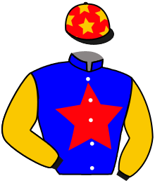 Casaque du n°1 — EMERGING STAR